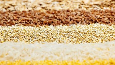 12 semillas de la abundancia